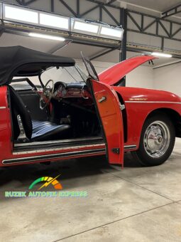 
										1957 Porsche 356 A Speedster full									